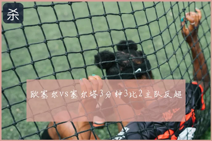 欧塞尔vs塞尔塔3分钟3比2主队反超