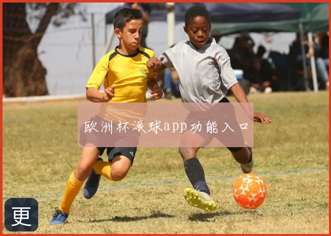 欧洲杯滚球app功能入口